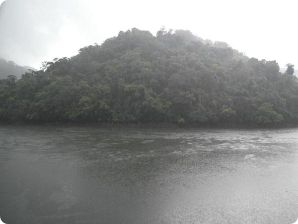 SAM_1218