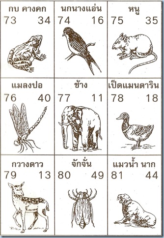 สัตว์ 73-81