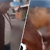 (Video) Polis buru lelaki makan kucing hidup-hidup