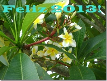 Feliz20132