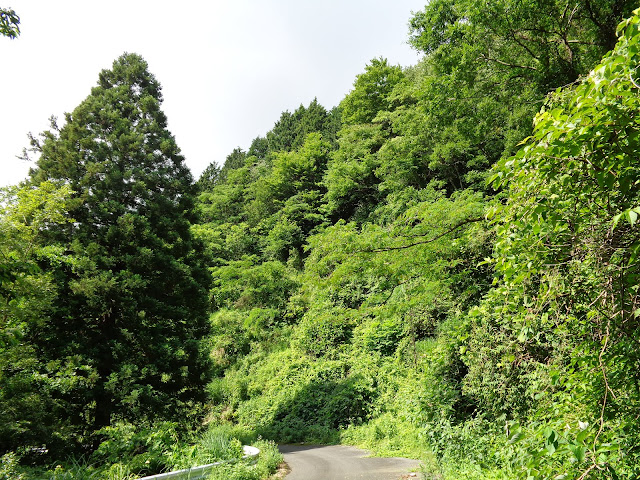 鎌倉山グリーンライン