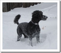 20120113_snow-day-outside_024
