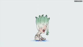 ドクターストーンアニメ主題歌 1期2クールOPテーマ 夢のような 佐伯ユウスケ Dr.STONE Season 1 Part 2 ED