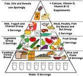 Basic Conditions Healthy Diet