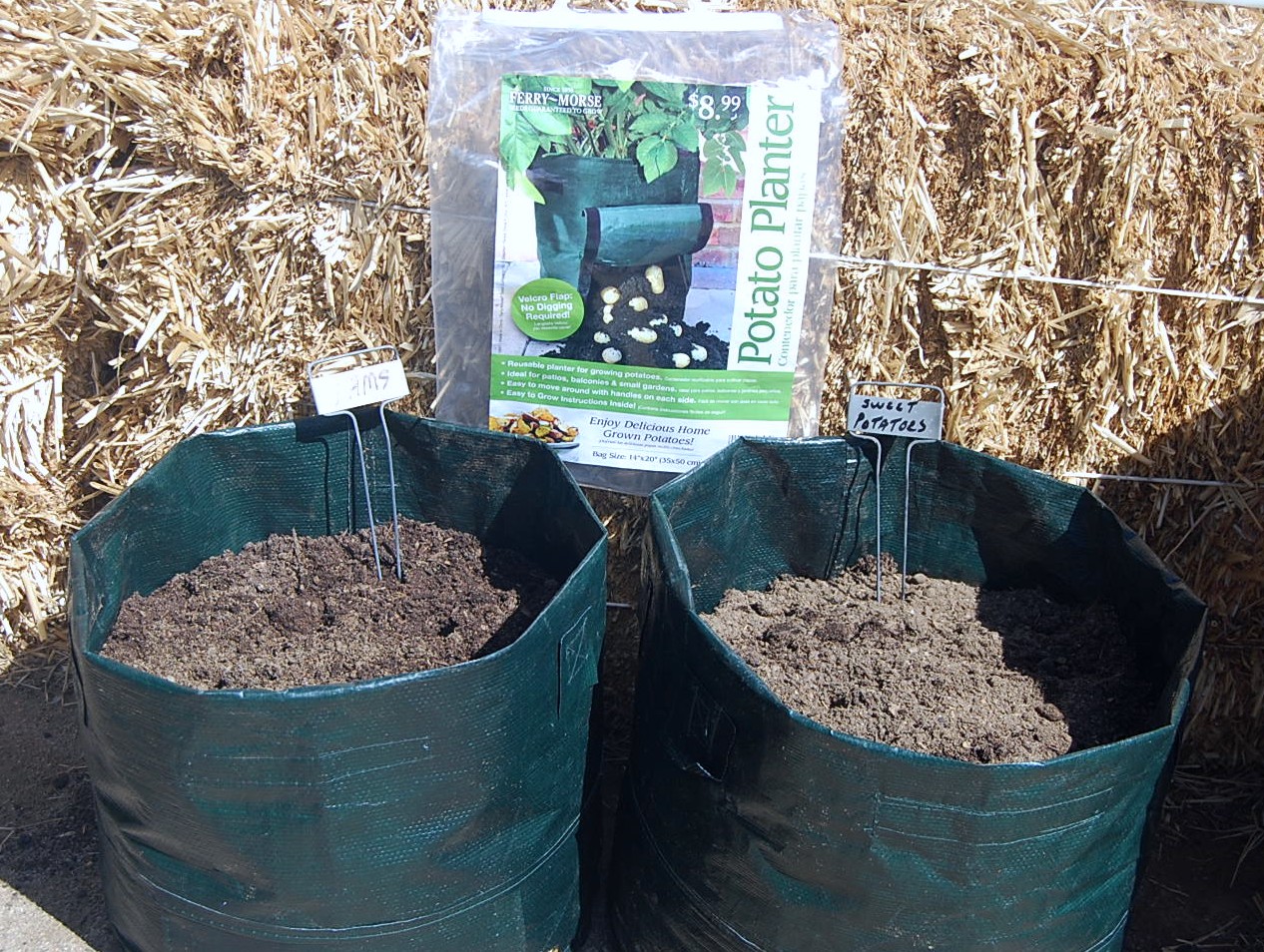 Marti Muses and Marvels: Patio Garden Potato Planter