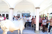 Bupati Ronald Kandoli Serahkan 7 Ekor Sapi Untuk Hari Raya Idul Adha 1446 Hijriah Tahun 2025 