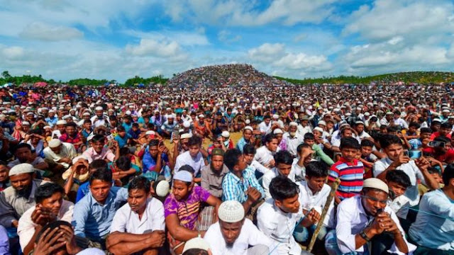 রোহিঙ্গা শিবিরে দেশি-বিদেশি কিছু এনজিও’র তদন্ত হচ্ছে by কাদির কল্লোল