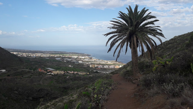 PR-TF-12 BAJAMAR A LA CRUZ DEL CARMEN, sendero a la salida de Bajamar en dirección a Tegueste y Cruz del Carmen, Vista del Picacho Redondo y la Mesa de Tejina