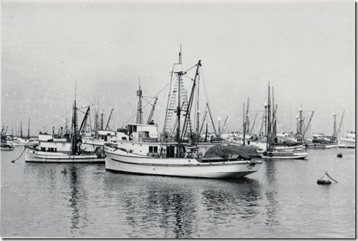 Fish Fleet