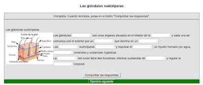 http://www.ceiploreto.es/sugerencias/cplosangeles.juntaextremadura.net/web/cono_tercer_ciclo/nutricion/actividades_unidad_4/glandulas01.htm