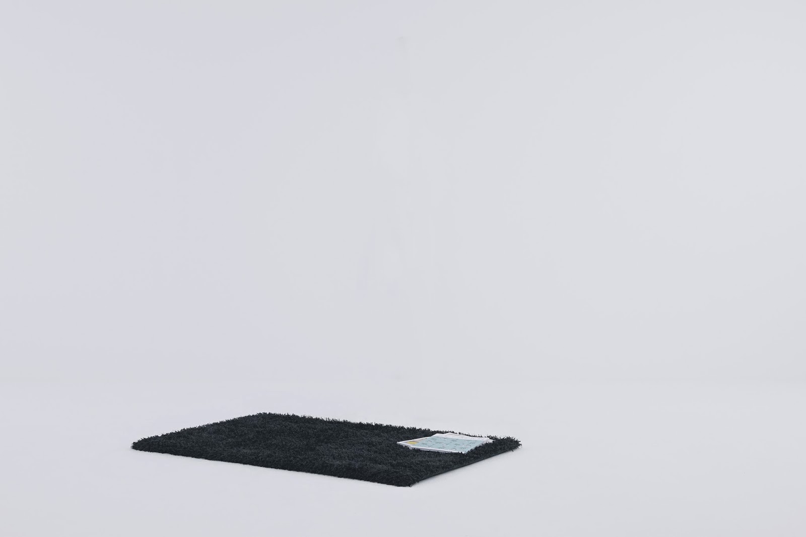 yoy_rug_01.jpg
