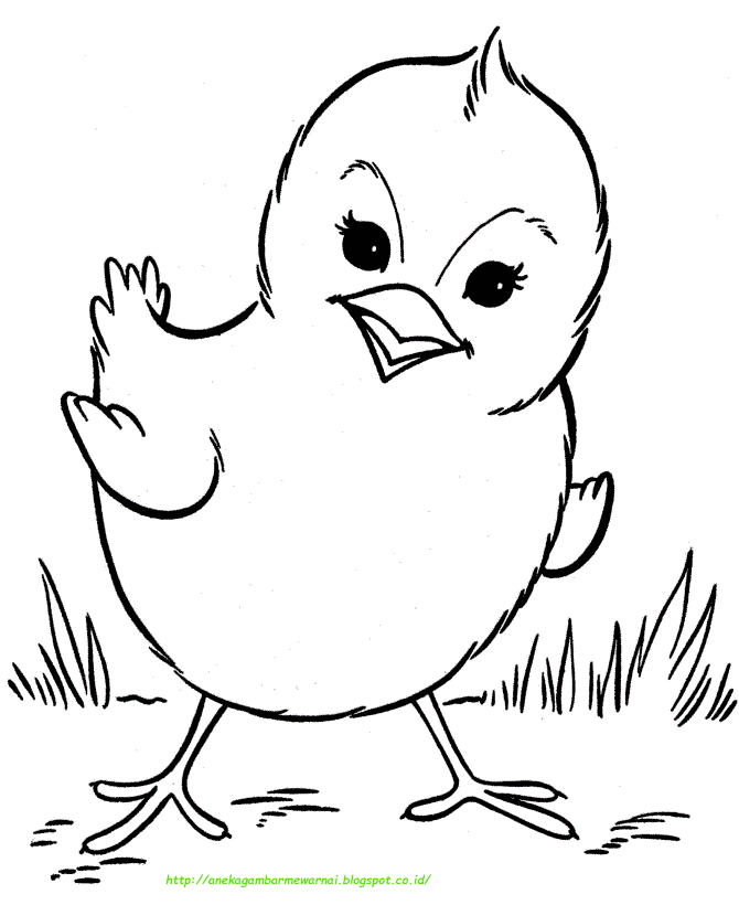 Gambar Mewarnai Ayam Bertelur - Mewarnai Ayam Bertelur - Gambar Mewarnai Gratis / Gambar mewarnai untuk anak paud, tk dan sd sebagai contoh cara menggambar dan mewarnai.
