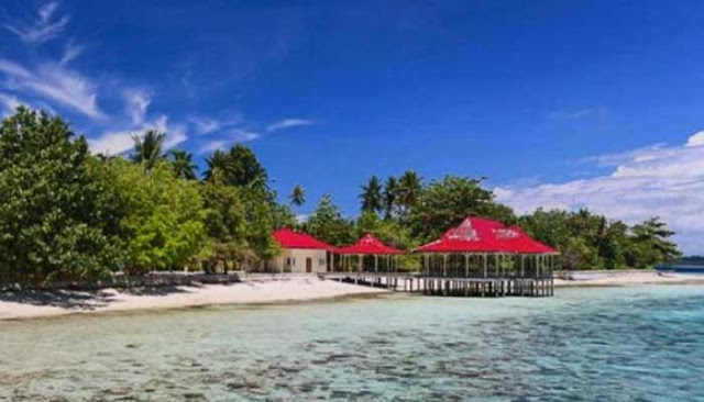 Menikmati Keindahan Bawah Laut Kepulauan Gura Ici Di Maluku Utara 