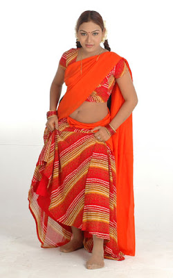 Mallu actress Risha in half saree photo album