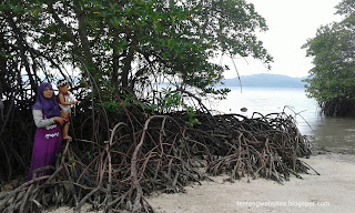  maka sebelum kami kembali ke rumah maka kami sempatkan juga mampir di wisata Pantai pancu Wisata Pancur punduh pidada lampung