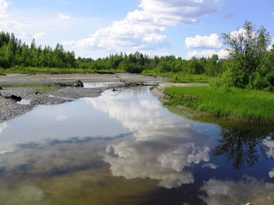 Caswell Creek Reflecting Clouds