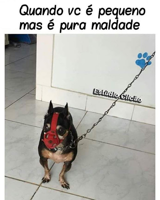 Memes engraçados 