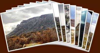 View album