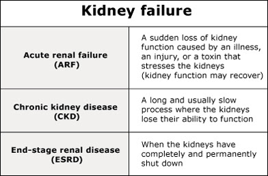  kidney failure homeopathy treatment in chennai 