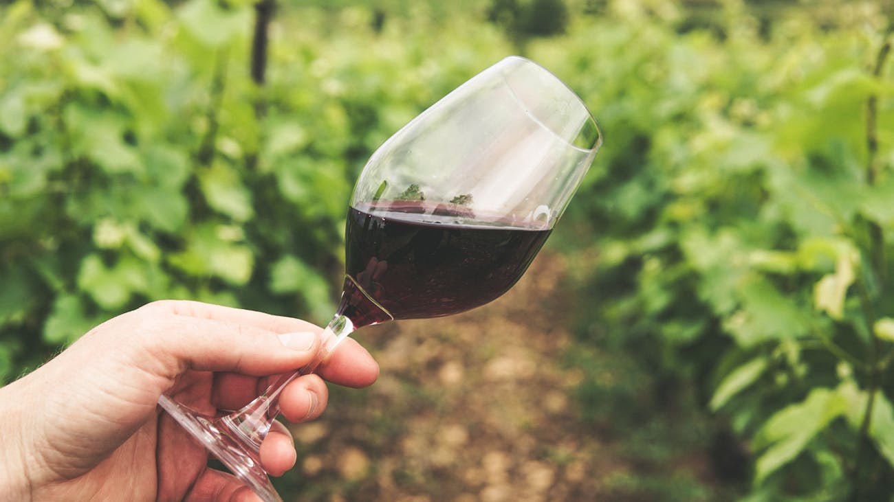 5 Interesting Facts About Wine