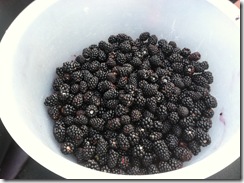 bowl