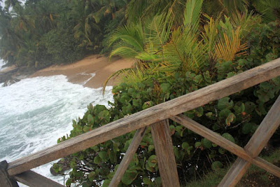 Playa de Punta Manzanillo