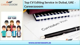 CV Editing Service