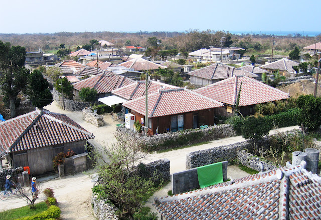 전망대에 올라 찍은 마을 전경