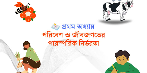 ষষ্ঠ শ্রেণি পরিবেশ ও বিজ্ঞান প্রথম অধ্যায় পরিবেশ ও জীবজগতের পারস্পরিক নির্ভরতা গুরুত্বপূর্ণ প্রশ্ন উত্তর