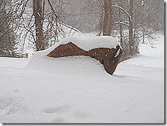 nut candy10-15snow storm 10-16 007
