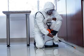 Pest control services in dubai