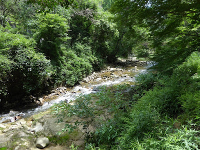 府民の森 ほしだ園地 天の川