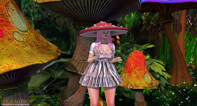 FANTASY AT SECOND LIFE METAVERSE