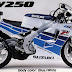 Suzuki RGR 150 Most Wasteful 2 Stroke