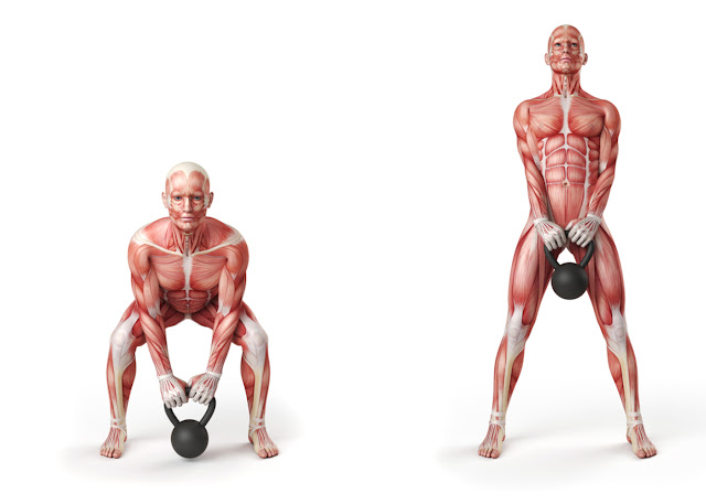 trainings for specific muscles