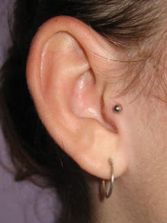 tragus piercing