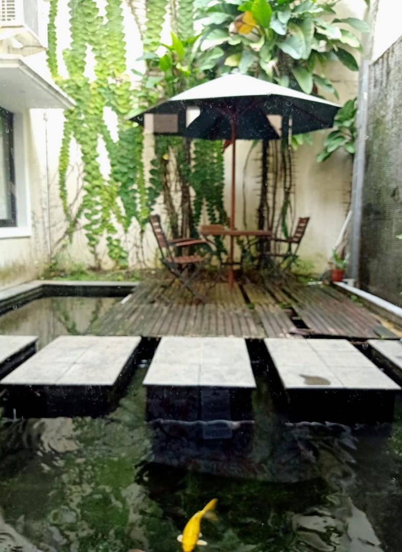 Desain kolam ikan minimalis, kolam ikan mewah, beton, kolam ikan koi, kolam ikan aesthetic, beton, kaca, kolam ikan dalam ruang dan luar ruangan