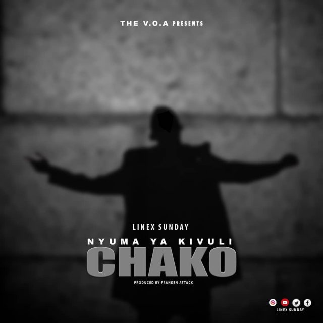 AUDIO | Linex Sunday - Nyuma Ya Kivuli Chako | Mp3 DOWNLOAD