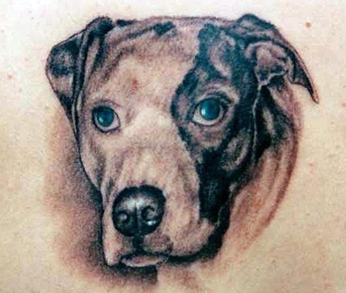 tattoos of dogs. Tattoo designs of dogs are