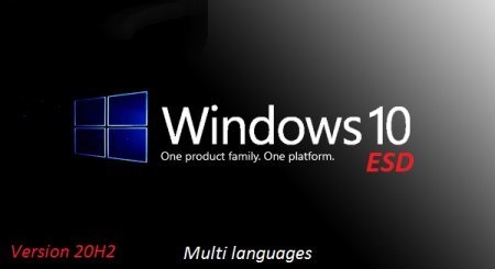 Windows 10 X64 20H2 Pro