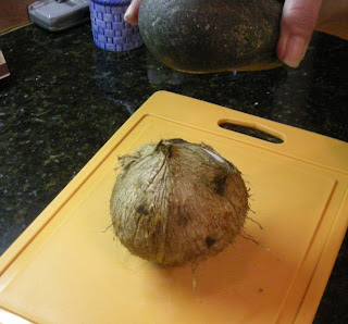 coconut, La Ceiba, Honduras