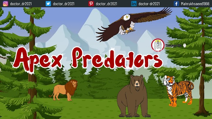 Apex Predators: Exploring Their Role, Trophic Cascade Effects, and Illustrative Instances