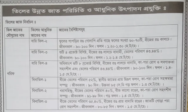 তিলের উন্নত জাত পরিচিতি ও আধুনিক উৎপাদন প্রযুক্তি