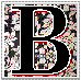 clip_image001