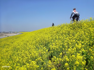 春を迎えに