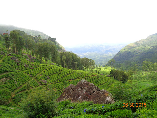 Lipton's Seat - Haputhale - bandarawela - sri lanka- tarvel - homestay