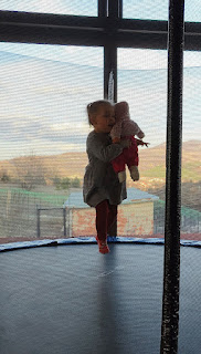 Rosie on the trampoline