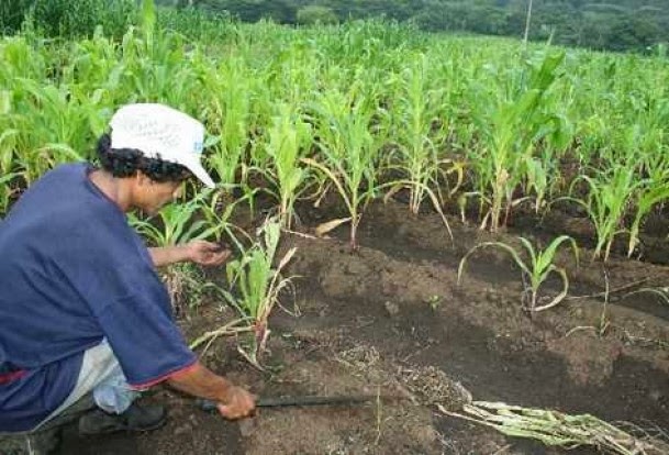 Ecuador impulsa ‘Plan Tierras’ en España