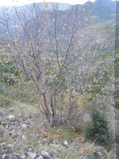 2010_11170015.JPG