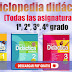 Enciclopedia Didáctica todas las asignaturas 1º, 2º, 3º, 4º grado primaria